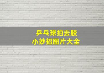 乒乓球拍去胶小妙招图片大全