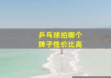 乒乓球拍哪个牌子性价比高