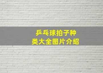 乒乓球拍子种类大全图片介绍