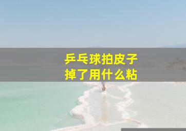 乒乓球拍皮子掉了用什么粘