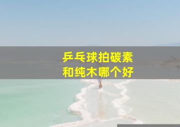 乒乓球拍碳素和纯木哪个好