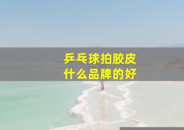 乒乓球拍胶皮什么品牌的好