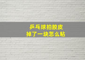 乒乓球拍胶皮掉了一块怎么粘