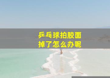 乒乓球拍胶面掉了怎么办呢