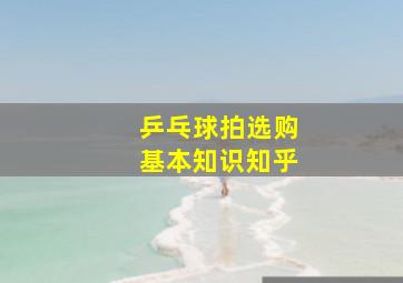 乒乓球拍选购基本知识知乎