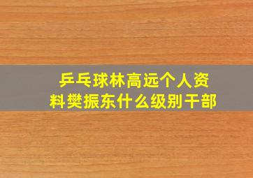 乒乓球林高远个人资料樊振东什么级别干部