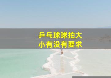 乒乓球球拍大小有没有要求