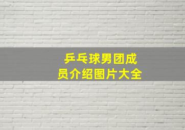 乒乓球男团成员介绍图片大全