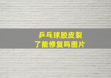 乒乓球胶皮裂了能修复吗图片