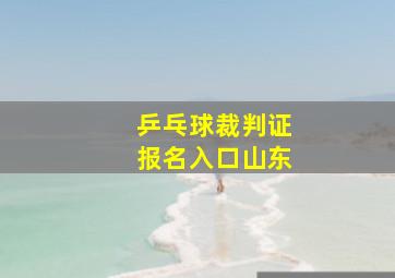 乒乓球裁判证报名入口山东