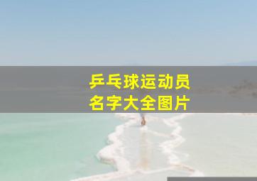 乒乓球运动员名字大全图片