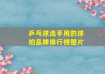 乒乓球选手用的球拍品牌排行榜图片