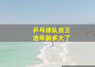 乒乓球队员王浩年龄多大了