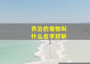 乔治的宠物叫什么名字好听