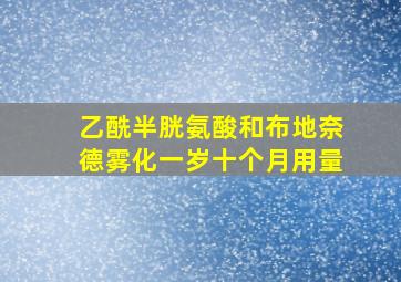 乙酰半胱氨酸和布地奈德雾化一岁十个月用量