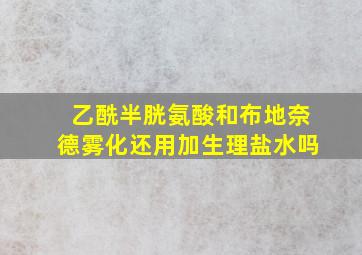 乙酰半胱氨酸和布地奈德雾化还用加生理盐水吗