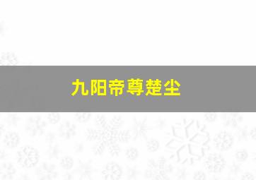 九阳帝尊楚尘