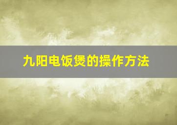 九阳电饭煲的操作方法