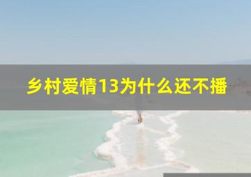 乡村爱情13为什么还不播