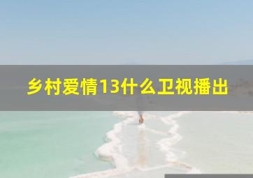 乡村爱情13什么卫视播出