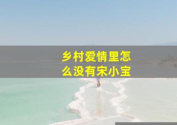 乡村爱情里怎么没有宋小宝