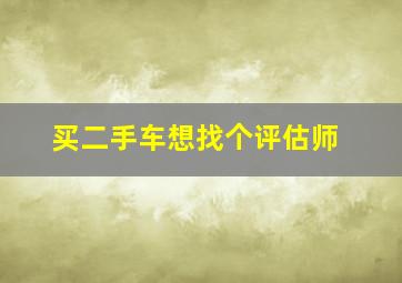 买二手车想找个评估师