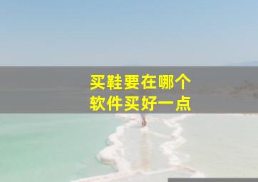 买鞋要在哪个软件买好一点