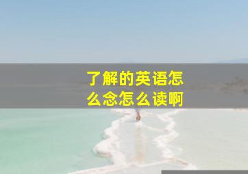 了解的英语怎么念怎么读啊