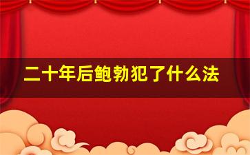 二十年后鲍勃犯了什么法