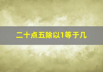 二十点五除以1等于几