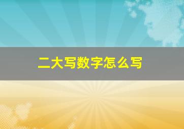 二大写数字怎么写