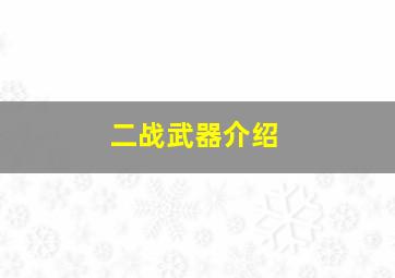 二战武器介绍