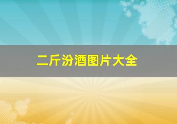 二斤汾酒图片大全