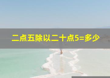 二点五除以二十点5=多少