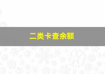 二类卡查余额