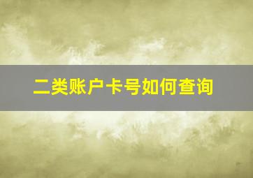 二类账户卡号如何查询