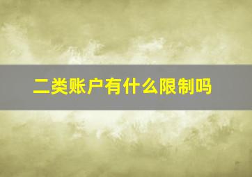 二类账户有什么限制吗