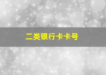 二类银行卡卡号