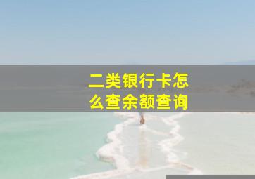 二类银行卡怎么查余额查询