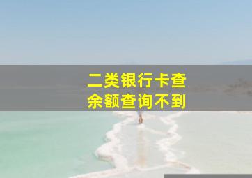 二类银行卡查余额查询不到