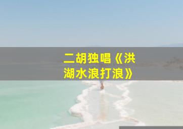 二胡独唱《洪湖水浪打浪》