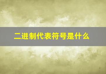 二进制代表符号是什么