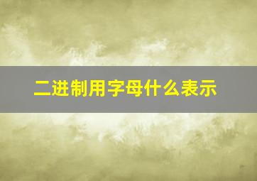 二进制用字母什么表示