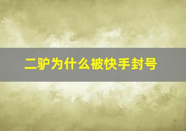 二驴为什么被快手封号