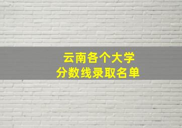 云南各个大学分数线录取名单