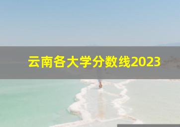 云南各大学分数线2023