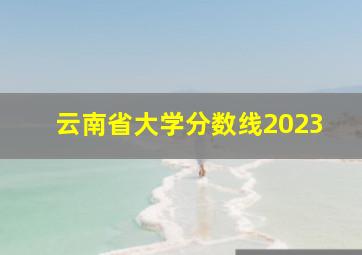 云南省大学分数线2023