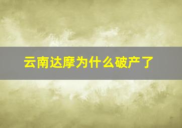 云南达摩为什么破产了