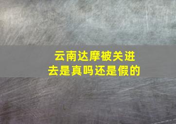 云南达摩被关进去是真吗还是假的