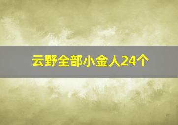 云野全部小金人24个